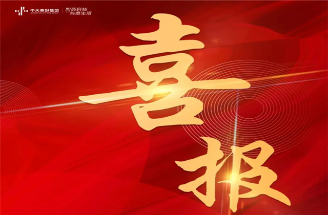 尊龙凯时人生就搏美好集团蝉联“2021长三角城市群房地产公司品牌价值TOP10”